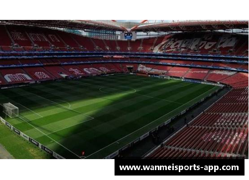 球场之光：致敬勇者，愿你挥洒汗水，征服每一场比赛